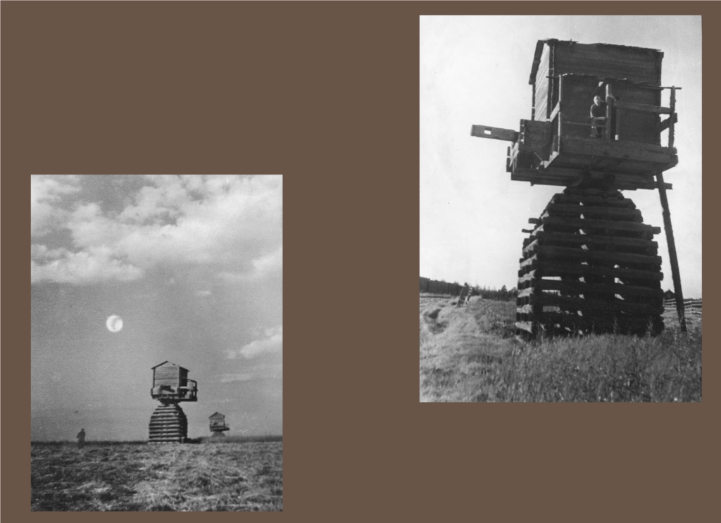 33
