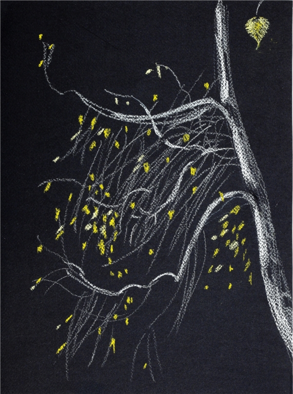 Марга Силкина. "Ноябрь". 1990-е гг.